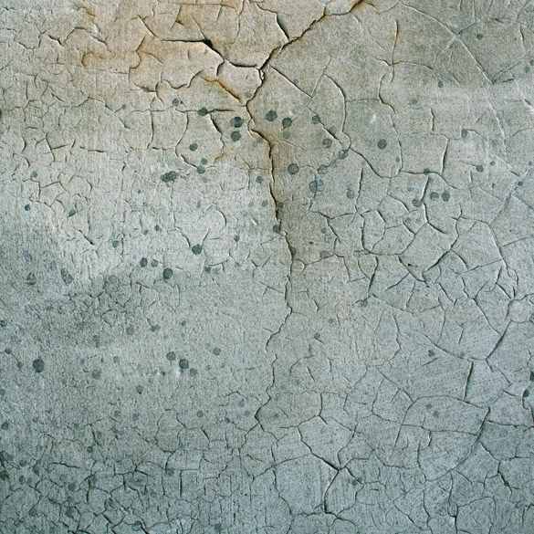 Détail architectural illustrant les pathologies du bâtiment